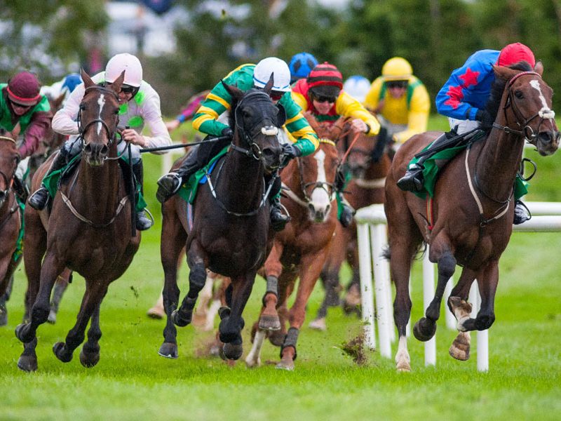 horse-racing